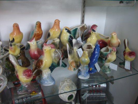 A flock of birds in one of the cabinets.