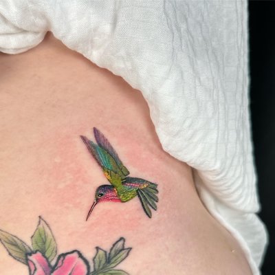 realism humming bird by artist Fabio