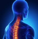 Backbone injury highlighted in x-ray