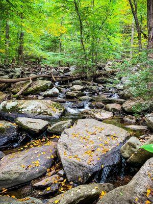 Hacklebarney State Park