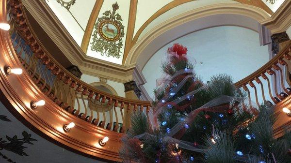 interior of the courthouse dome...at Christmas.