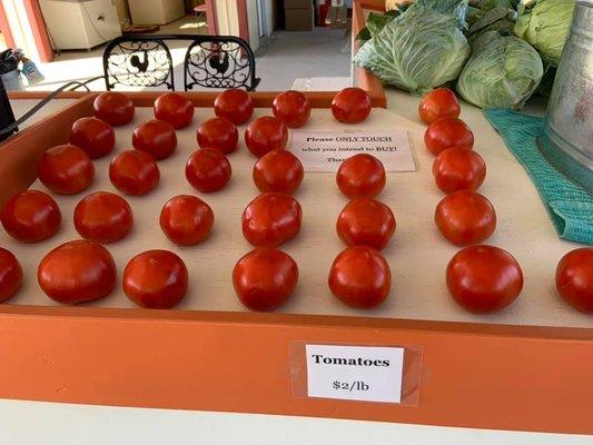 Tomatoes