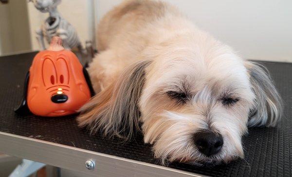 Sleepy girl during her groom