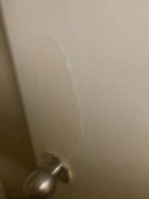 Paint on door for bathroom chipping