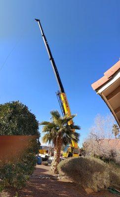 Houston crane service