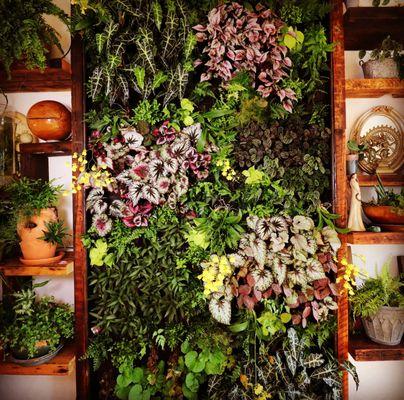 Living wall with salvaged wood and planters.