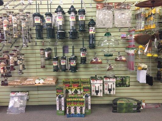 OUR BROME SQUIRREL         BUSTER SECTION