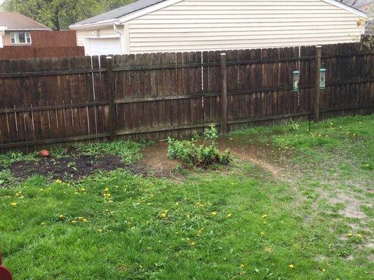 Standing Water in Yard