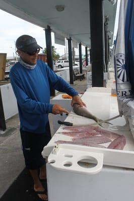 Filleting fish