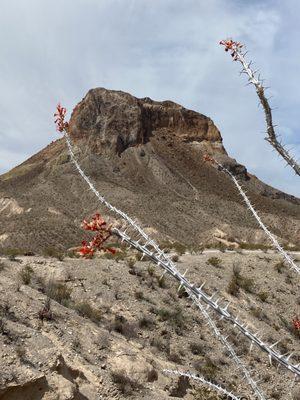 Raw beauty of Big Bend