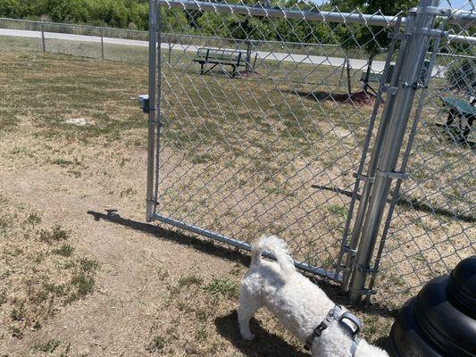 Great dog park! No poo standing