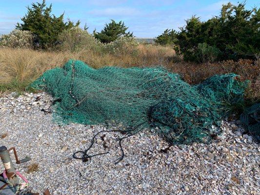 Beautiful nets on our beaches