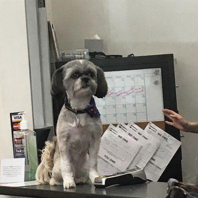 Friendly service from this customer service rep. (Close up of cuteness.)