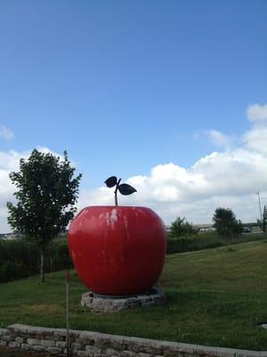 Looks more like an apple than a cherry.