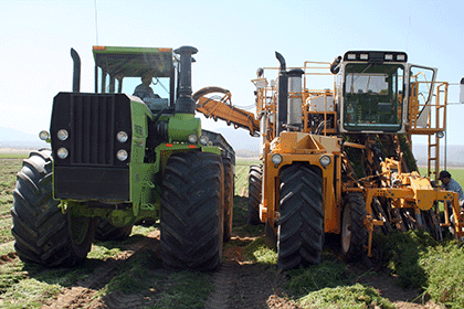 Servicing the agriculture market with Michelin, Firestone, Alliance and Camso tire solutions.