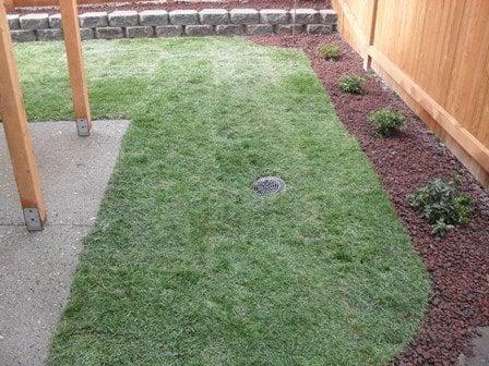 Lawn Install