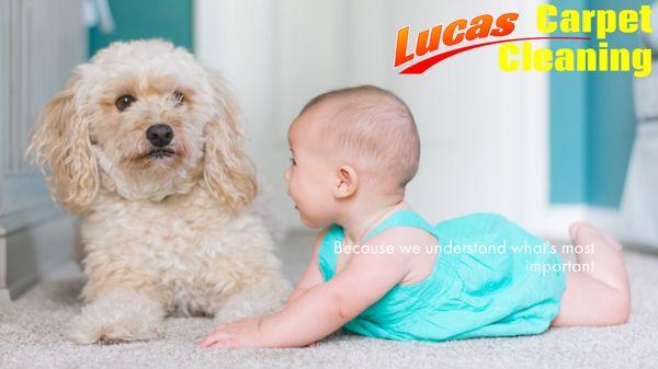 Lucas Carpet Cleaning & Repairs