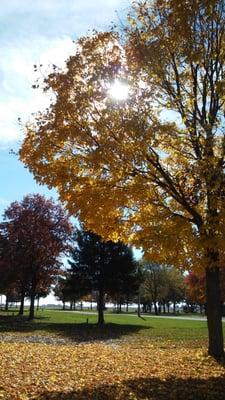 Very beautiful in the fall!