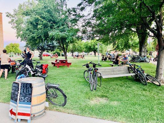 Bikes on the outdoor lawn.