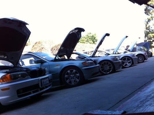 Bimmer Collection