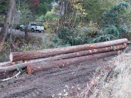 loaded half a dozen log trucks.