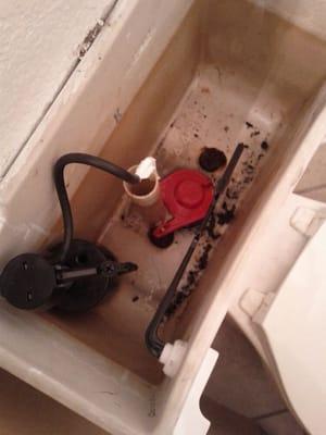 Toilets repair or replacement