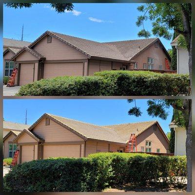 Roof wash before and after