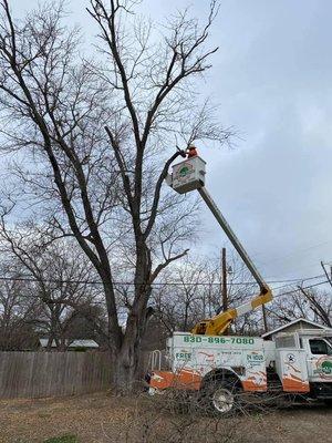 Texas Tree Service