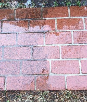 Brick Cleaning