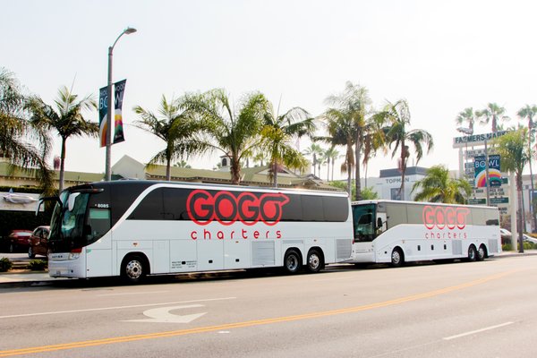 GOGO Charter Bus Charlotte