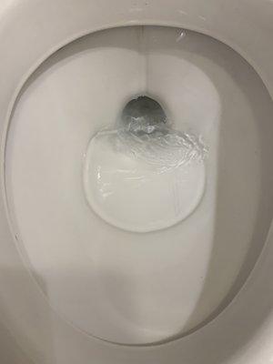 After picture of toilet cleaning