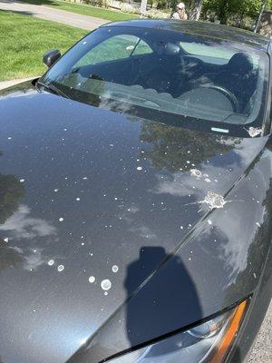 Bird sh1t all over my car; this is how they returned it to me. Thanks for nothin!