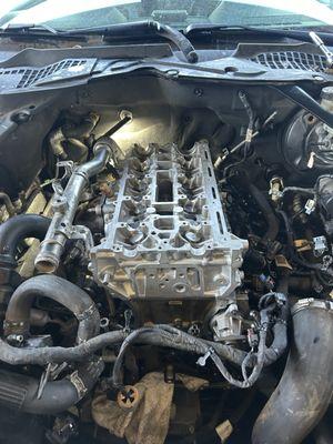 Head gasket replacement 2014 ford mustang