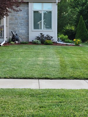 Lawn before mistake