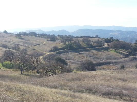 Walnut Creek Open Space