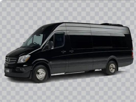 We offer Sprinter vans for groups up to 14 passengers.