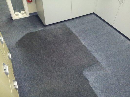 Steam Craft Carpet Cleaning