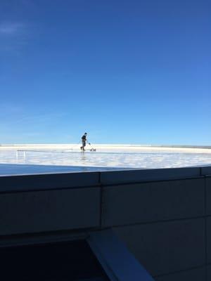 Roof Cleaning