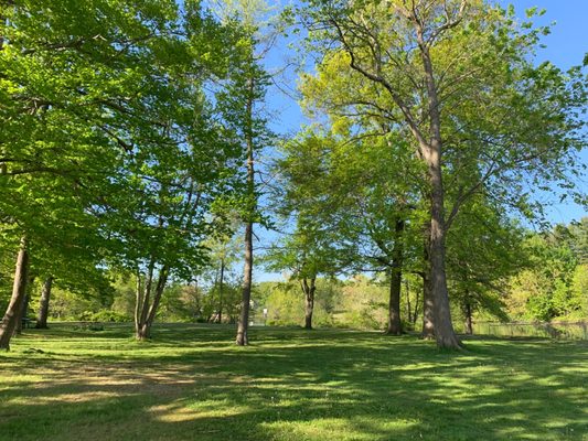 Greens and blue