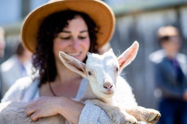 Playing with goats at Toluma Farms