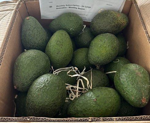 California Avocados Direct