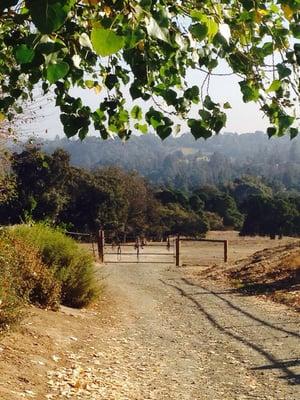 Beautiful morning at BOK Ranch