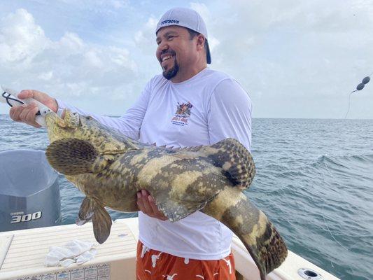 Goliath Grouper