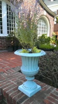 Vibrant colored planter with easy care plants!