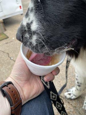 Enjoying a beef flavoured snow cone