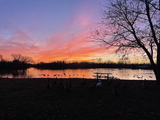 Island Lake Mobile Home Park