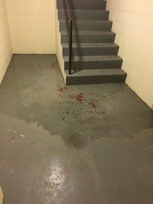 Typical leaks that you will find around prospect Towers. Photo taken of stairwell leading down to tenant parking structure