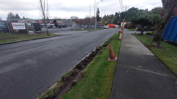 Again ABC Roofing has damaged the park strip/green space all because the gate at their yard is too SMALL! For shame. They moved Protection!