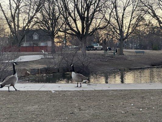 Little walking trail around