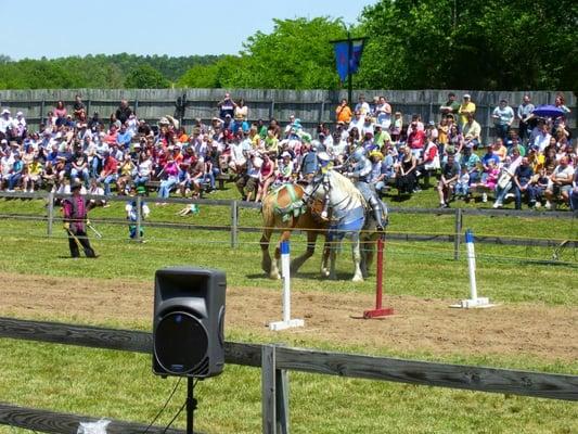 Jousting!